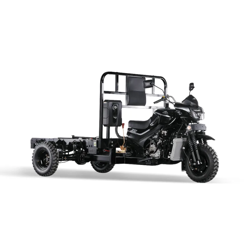 Ceronte 300 Chasis — moto motocarro 272 cc