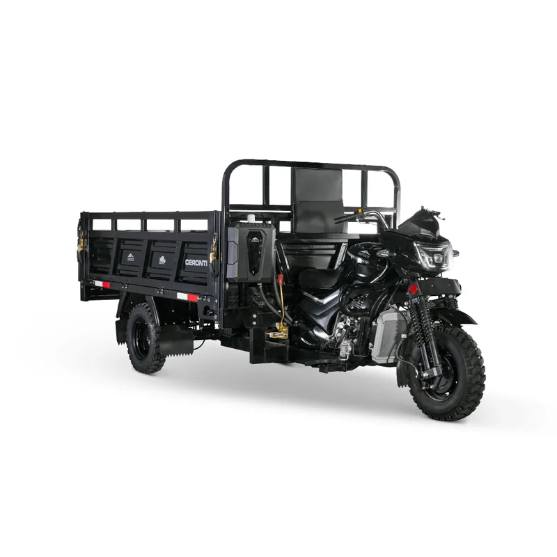 Ceronte Tricargo 300 — moto motocarro 272 cc